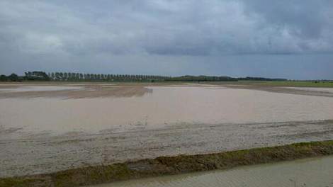 Wateroverlast in Melisant. Perceel ingezaaide wintertarwe moet als verloren worden beschouwd, aldus Joke de Geus.