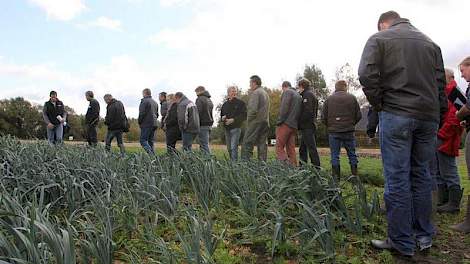 Vijftien preitelers bezochten dinsdag een  gebreksziektenveld prei bij PPO Marwijksoord in Rolde.