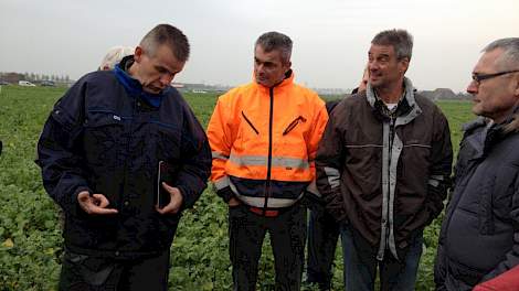 Volgens Rinus Struik van Mol Agrocom (blauwe jas) is het opvallend dat de doorworteling van de TerraLife mengsels beter is tot een diepte van 40-50 cm. De rammenas gaf vooral een intensieve beworteling in de bovenlaag.