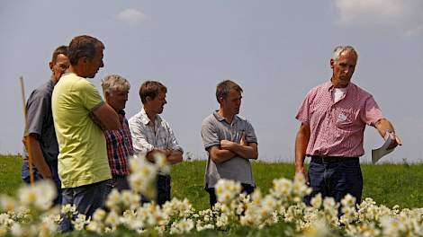 Heyboer BV hield gisteren zijn jaarlijkse open dag op het proevenplatform, waar telers de resultaten konden bekijken van verschillende onkruidbestrijdingsstrategieën in aardappelen, wortelen en zaaiuien.