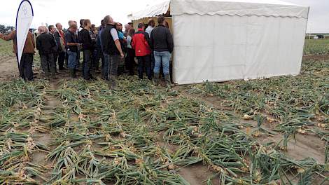 Vanwege de kans op regen was alle informatie in tenten te zien, die bij die in het veld bij de proeven stonden.