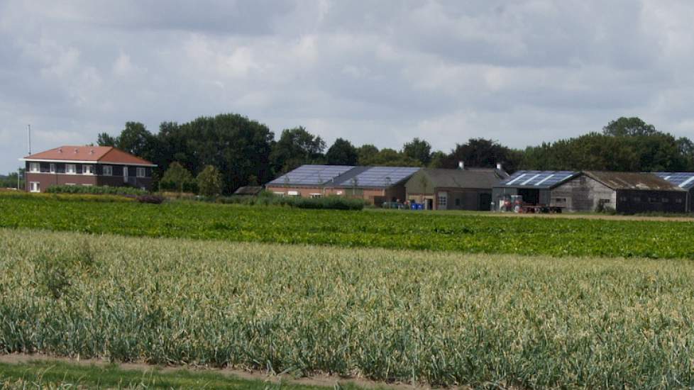 CZAV is actief in het Zuidwesten. Op het proefbedrijf Rusthoeve doet CZAV mee aan onderzoek en is de jaarlijkse telersdag.