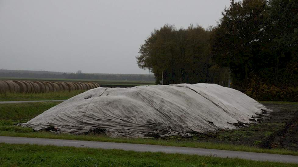 Stro en vliesdoek beschermen zetmeelaardappelen tegen de vorst.