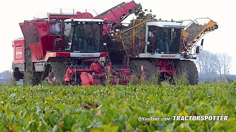 Agrifac Exxact OptiTraxx Suger Beet harvester | Massey Ferguson 6190/3115 | Loonbedrijf Fase