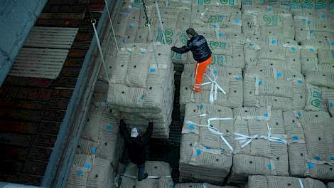 ABN Amro voorziet dat de export naar Azië ook in de komende jaren verder zal groeien. Andere belangrijke afzetmarkten buiten de EU zijn Noord- en Zuid-Amerika, gevolgd door Afrika.