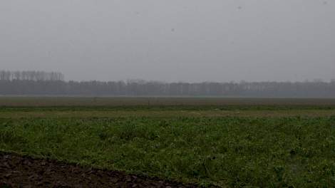 Het conflict tussen agrarische belangen en natuuraanleg lijkt zich in Flevoland te herhalen, blijkt uit het artikel over Nieuwe Natuur in Veldpost.