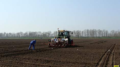 Op 9 april konden de medewerkers op proefbedrijf Vredepeel onder een blauwe lucht beginnen met aanleggen van de proeven en demo's met suikerbieten en cichorei.