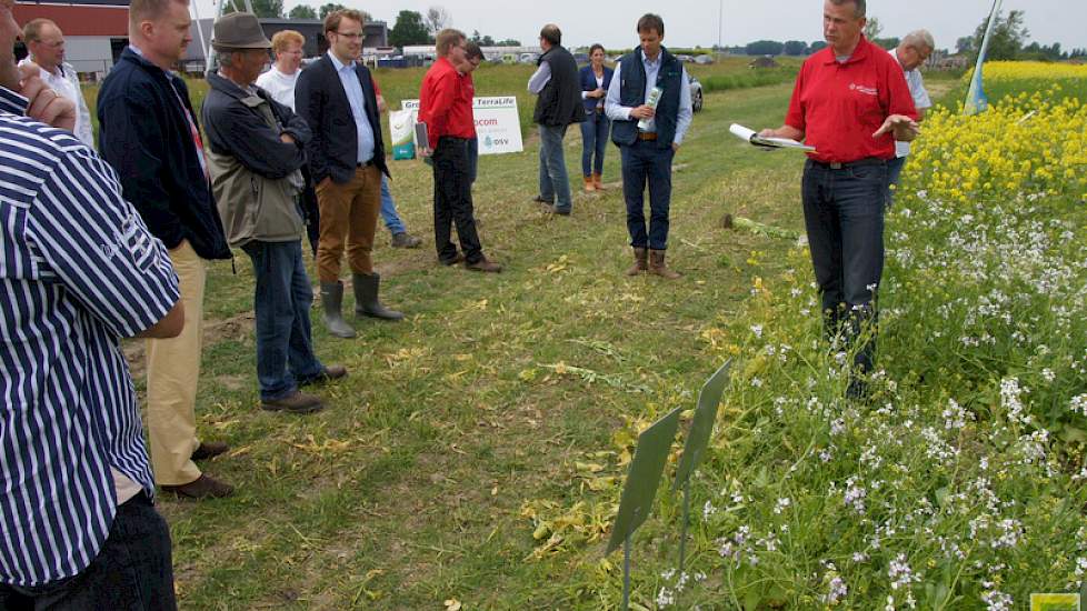 Mol Agrocom doet al drie jaar ervaring op met groenbemestermengsels.