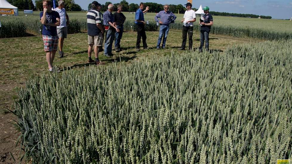 Bert Westhoff van BASF gaf telers dinsdagmiddag uitleg over de werking van groeiregulatoren op de open dag van proefbedrijf Ebelsheerd in Nieuw-Beerta.