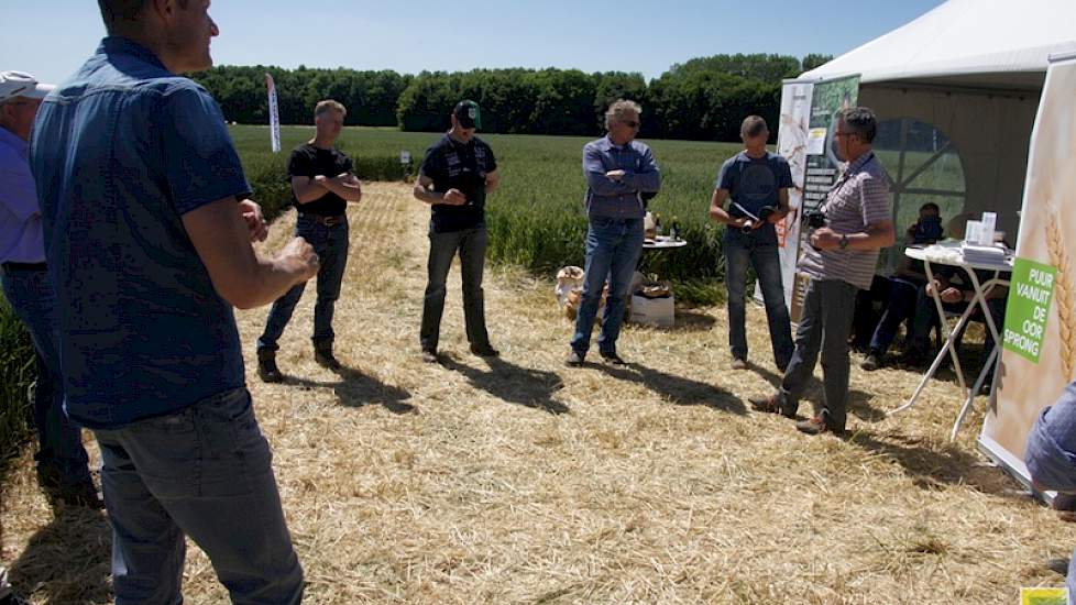 Anko Postma van Stichting Veldleeuwerik gaf dinsdag uitleg over de teelt van baktarwe op Nederlandse akkerbouwbedrijven.