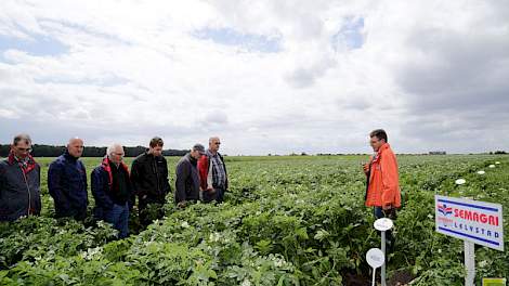 De belangstelling voor dubbeldoel rassen voor zetmeel en vlokken wordt aangewakkerd door matige prijzen voor pure zetmeelrassen. Jarke Kruize van Semagri (oranje jas) praat de telers bij over de rassen van het handelshuis.