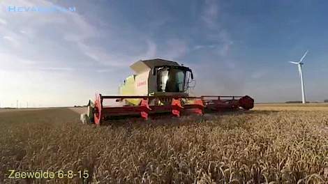 Claas Lexion 770 TT Tarwe dorsen (ERF)