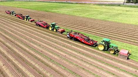 Harvest of first year onion sets | John Deere + VSS Amac VRU XL | Plantuien oogst Loonbedrijf SvZ