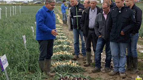 Kees Hoogzand van Hoza geeft uitleg aan de bezoekers van Uiendag 2015. Hoza komt met het ras Hoza dat al 30 jaar meegaat en nog altijd sterk scoort in hardheid en met veel nieuwe rassen voor de markt van gele en rode uien.