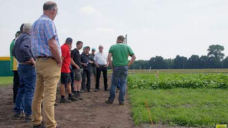 Werken met vanggewassen en groenbemesters was dit seizoen vaak een onderwerp op veldbijeenkomsten.