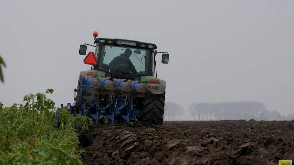 Inwerken van het vanggewas mag pas na minimaal 10 weken.
