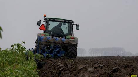 Inwerken van het vanggewas mag pas na minimaal 10 weken.