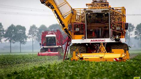 De regen legde het rooiwerk in omgeving Blijham even stil, omdat de ligplaats te nat werd.