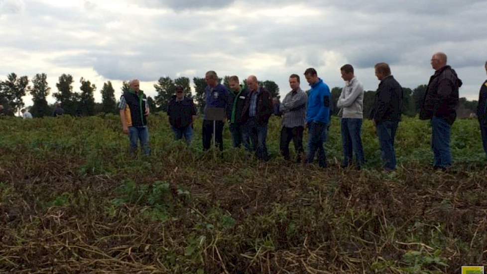 Ruim 40 telers bezochten gistermiddag op de uitnodiging per SMS-je van Agrifirm het onderzoek aan alternaria en sclerotinia in aardappelen en dat naar bladvlekkenziektes in suikerbieten.