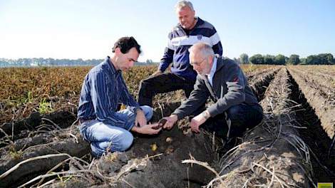 Gino Smeulders, Henk Schrör en Bert Carpay bekijken de zetmeelaardappelen op het bedrijf van Schrör in Musselkanaal.