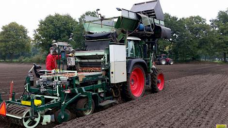 Bloembollenteler en akkerbouwer Martin Trip uit Bergentheim (Ov.) is druk met het planten van tulpen.