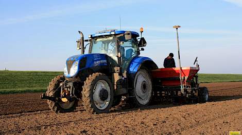 Akkerbouwer Gert Jan de Jager uit het Zeeuwse Anna Jacobapolder teelt 6,5 hectare hectare winterplantuien van het ras Troy.