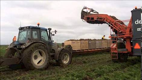 Wortelsrooien 2015 Heyboer BV