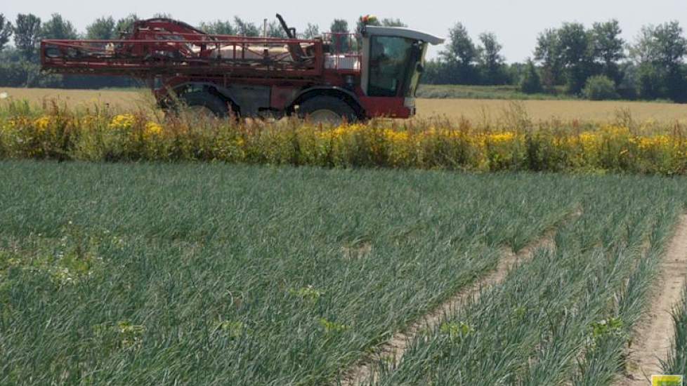 Naast chemie ontwikkelt biologie zich sterk in de uienteelt. Mol Agrocom en De Witte Agro verwachten een sterke ontwikkeling van toepassen van groeiondersteunende bodemorganismen in de komende vijf jaar.