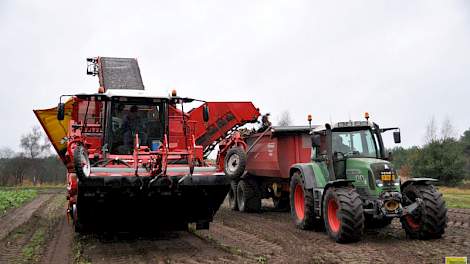 Bij akkerbouwer en varkenshouder Rob Meeuwissen uit Gastel (N-Br) komen de laatste suikerbieten uit de grond.