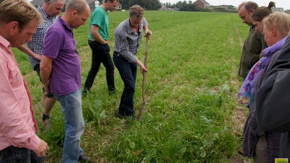 Bollentelers en boomkwekers wisselen ervaringen uit over werken met meer organische stof en minder chemie op het bloembollenbedrijf van John Huiberts in Sint Maartensvlotbrug.