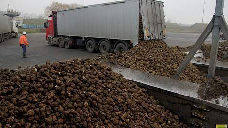 Nog maar enkele dagen draaien de suikerfabrieken om bietencampagne 2015 af te sluiten.