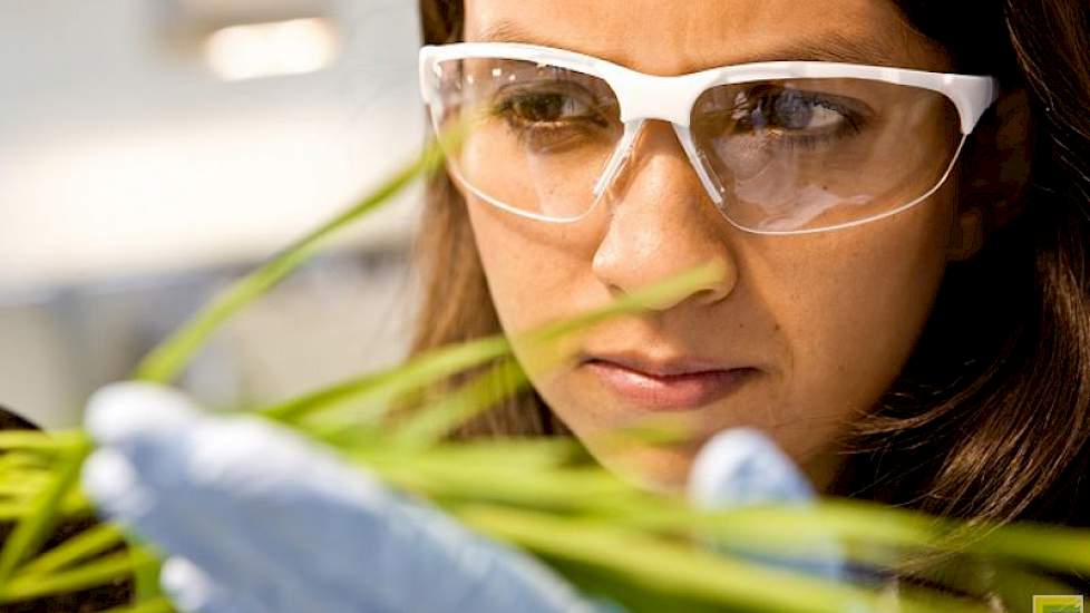 Gewasbeschermingsmiddelenproducenten gebruiken de winst uit de huidige middelenverkoop voor de ontwikkeling van nieuwe en duurzamere middelen. Volgens Henco Bouma werkt een te streng middelenbeleid daarom als rem op innovatie.