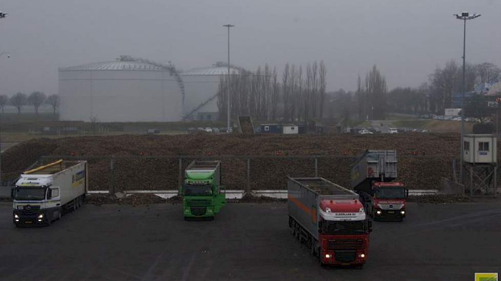 De fabrieken van Suiker Unie kunnen binnenkort ieder 28.000 ton bieten per dag in het washuis verwerken.