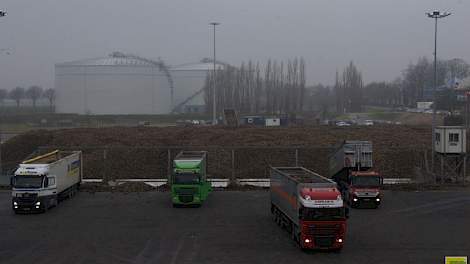 De fabrieken van Suiker Unie kunnen binnenkort ieder 28.000 ton bieten per dag in het washuis verwerken.