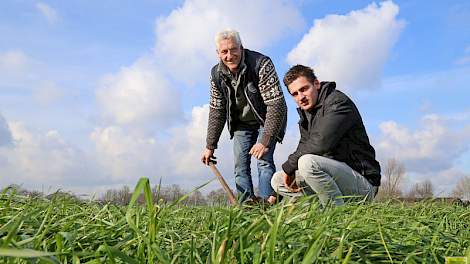 Vader Paul en zoon Gijs Krol zijn de Topbodem-deelnemers uit het zuidoosten. Ze boeren in omgeving Gemert. Aardappelen zijn hun hoofdgewas.