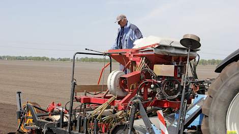 Bij Wilbert en Jurgen Siebring in het Drentse Erica is het zaad voor de Parijse wortels gezaaid. Het zaaien is uitgevoerd door Agrivision BV.