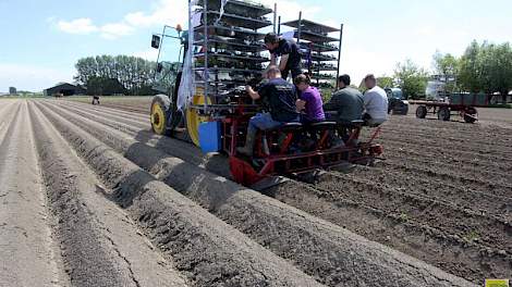 Bij groot akkerbouwbedrijf Wilhelminapolder zijn deze week de eerste hybride aardappelplantjes geplant.
