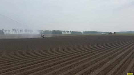 Akkerbouwer Jaap Lodders in Lelystad heeft vandaag de beregeningsinstallatie aangezet in de witlof. ‘Het wil maar niet regenen.’