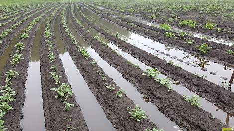 In delen van Zuidoost-Brabant is vandaag weer flink wat water gevallen.