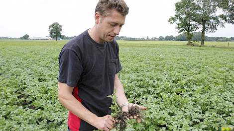 Twan van der Heijden uit Soerendonk is één van de gedupeerde telers. ‘Er is geen beginnen aan’, zei hij eerder al. Om het water van het land te krijgen, maakte hij lange greppels dwars door zijn aardappelpercelen. Maar met de grote hoeveelheden neerslag d