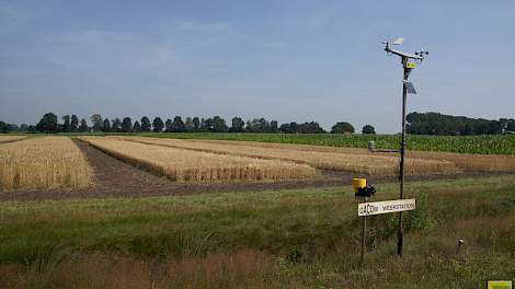 Op proefbedrijf Vredepeel vergelijken onderzoekers de invloed van gangbaar en biologisch bodembeheer op bodemkwaliteit. Onderzoekers van WUR en uit Engeland en Duitsland stellen in een wetenschappelijke publicatie dat plantendiversiteit bodemstructuur, -v