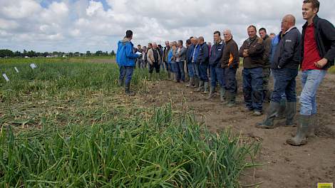 Participanten van UIKC bespraken half juli de uienproeven met UIKC en onderzoekers van de Rusthoeve. Eelco Boot rooide de plantuien in de laatste week van juli.