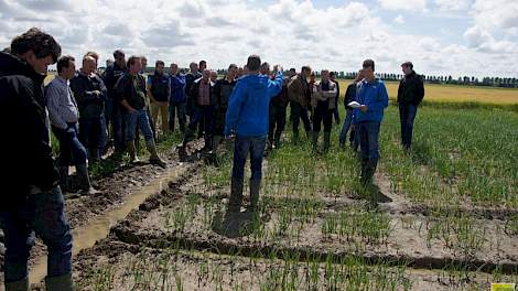 Participanten bezochten half juli de proefvelden in Colijnsplaat.