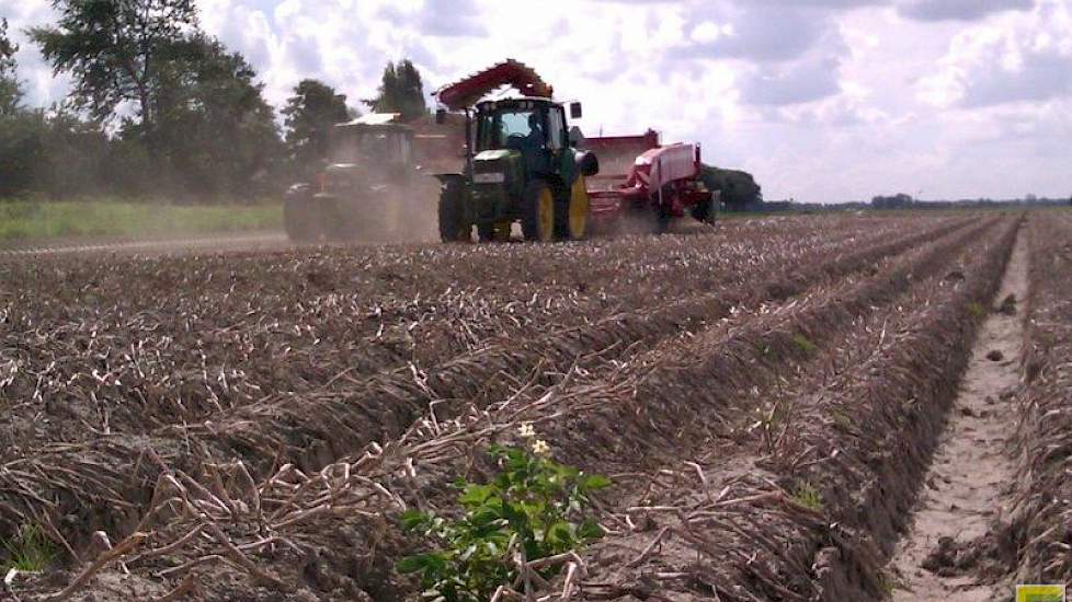 'Het is belangrijk dat aardappeltelers de uitgangssituatie van een perceel kennen om een eventuele aaltjesbesmetting met een gerichte rassenkeuze te kunnen beheersen.'