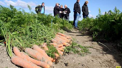 Op het proefveld bij Nagele kregen de telers de resultaten te zien van de verschillende bemestingsstrategieën.