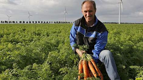 Jacco van Liere verbouwt 50 hectare peen.