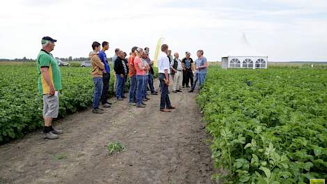 De proeven die SPNA in de zomer liet zien aan de telers zijn nu grotendeels geoogst. Onderzoekers verwerken de gegevens. De eerste resultaten met de teelt van biologische conservengroenten lijken positief.