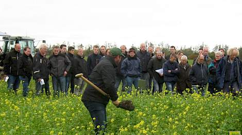 Christoffel den Herder toont de beworteling van groenbemesters aan de groep. In de proef op Kollumerwaard staan verschillende mengsels van groenbemesters en ook iedere soor is enkelvoudig gezaaid.