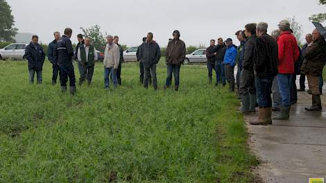 Telers van CZAV krijgen uitleg over de teelt in het veld. Via de coöperatie kopen telers samen in en delen het voordeel.