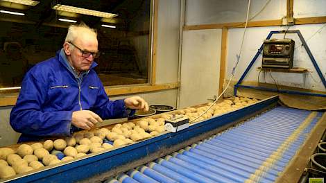 Meestal is hij met zijn zoon Arjan aan het lezen, maar nu is akkerbouwer Bert Berghuis in zijn eentje aan het werk in de leeskamer. Hij leest hier de pootgoed maat 55/65 van een chipsaardappel Crisps4all van HZPC. De leesband is gescheiden in twee banen,